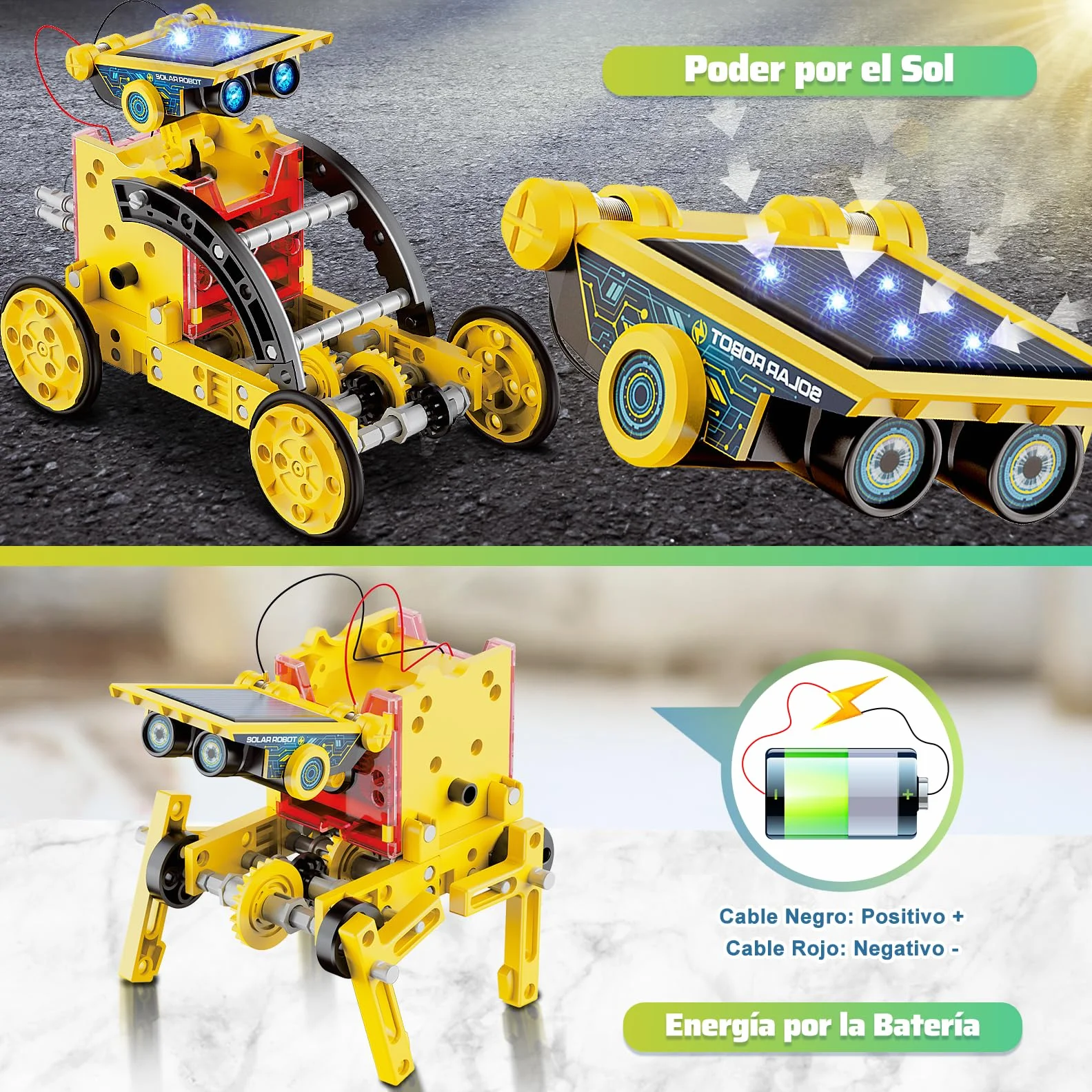 Hot Bee Solar Roboter Kinder, Experimente für Kinder ab 6-10, Geschenk Junge 8 9 10 11 12 Jahre, Spielzeug ab 8-12 Jahre für Jungen